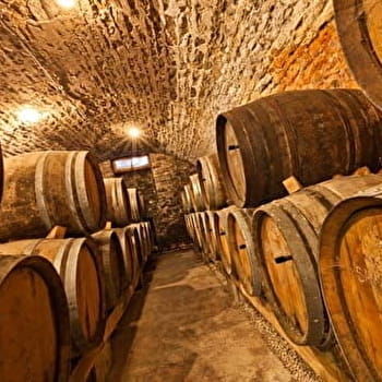 Domaine Credoz - CHATEAU-CHALON