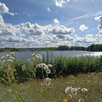 Les Étangs, les canaux et les bornes - BROGNARD