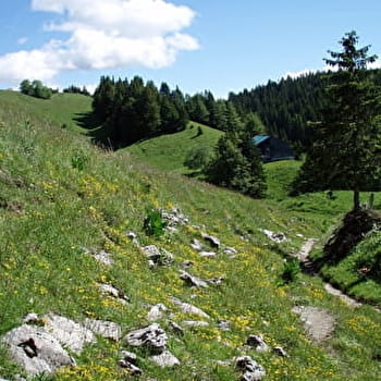 La Grande traversée du Jura à pied - GTJ pédestre - MANDEURE