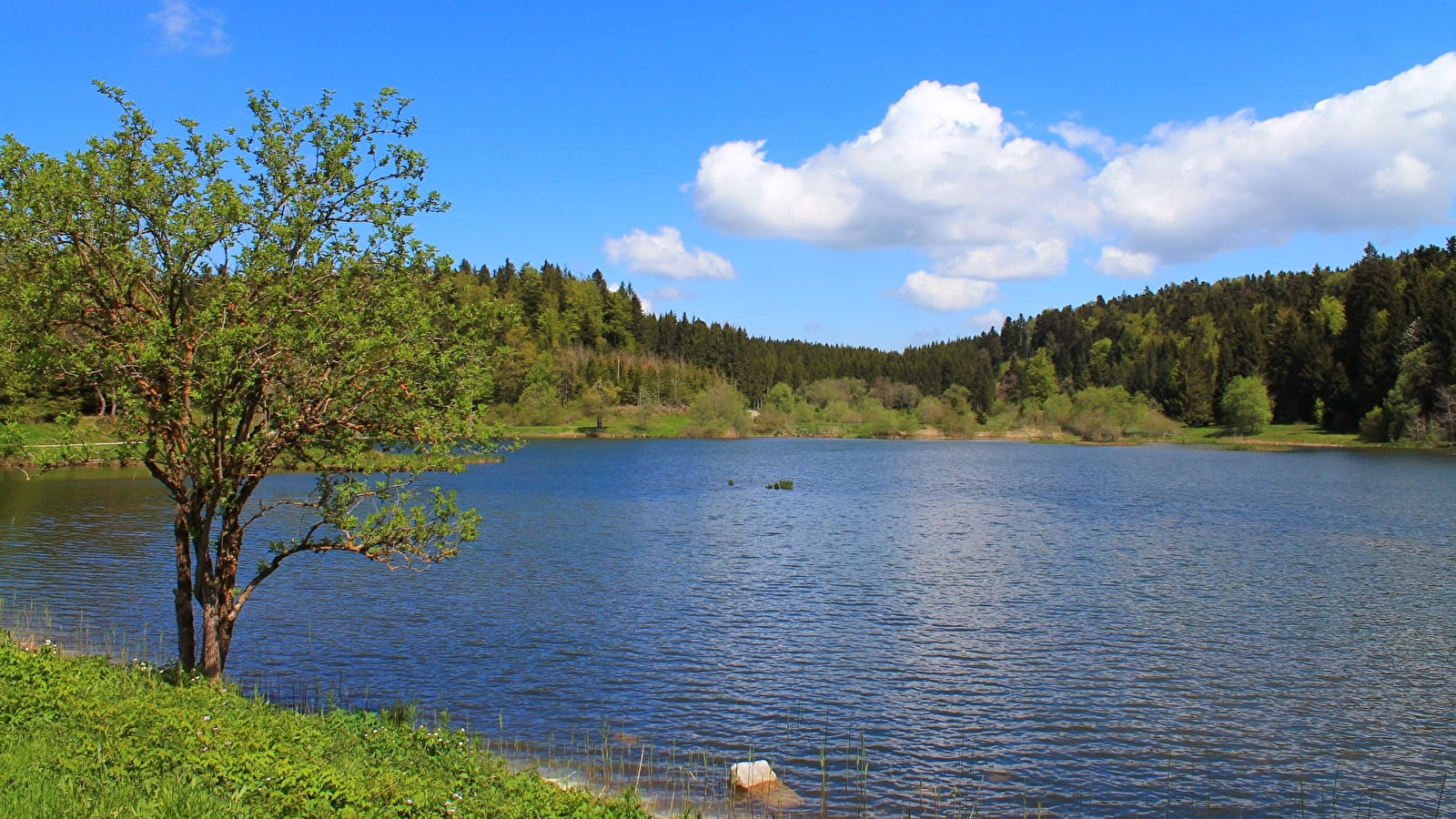 Parcours Gravel 16 bleu - De combes en combes - Espace FFC Ain Forestière
