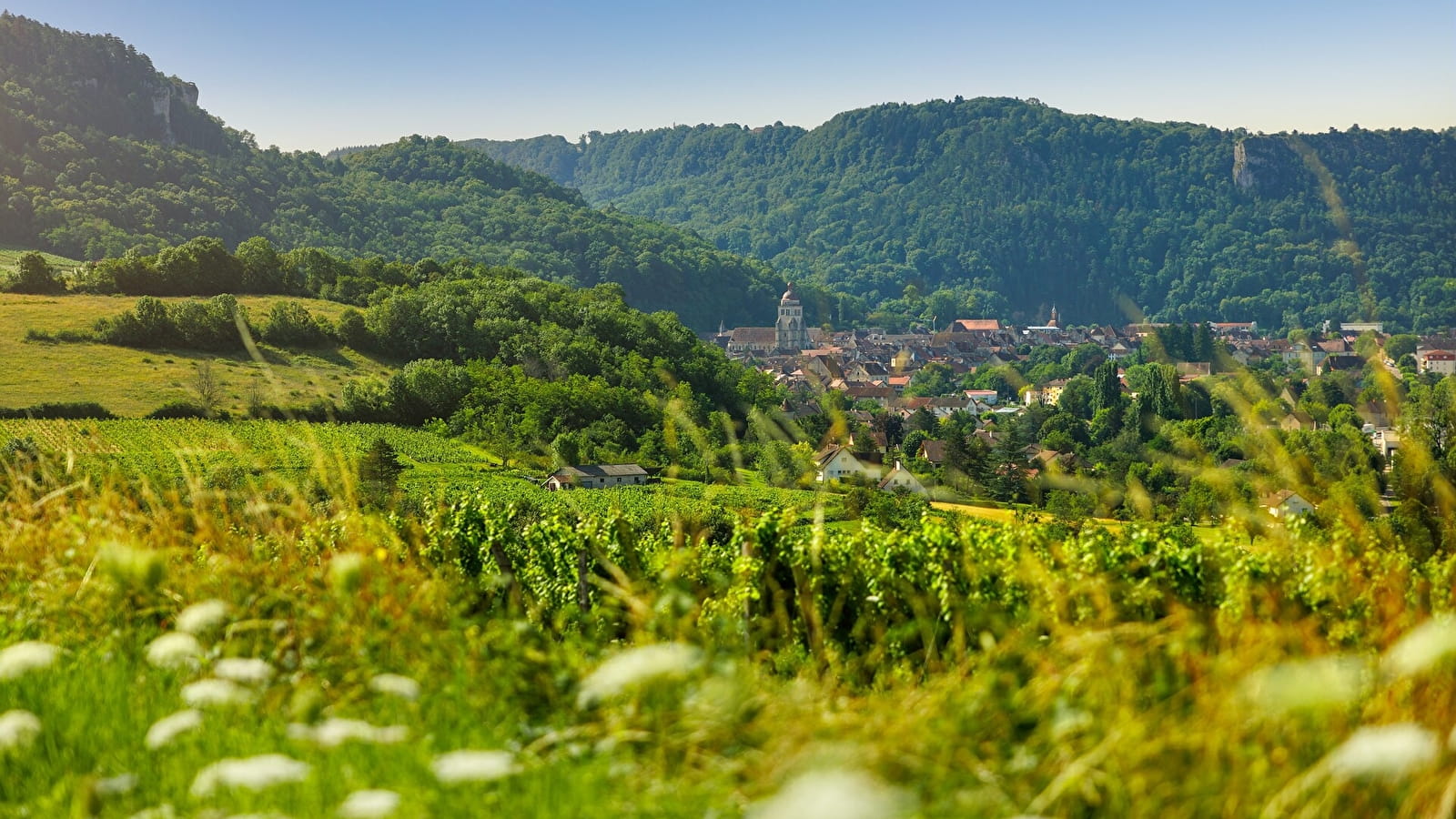 La Dame Verte Bois de Poligny - 112B