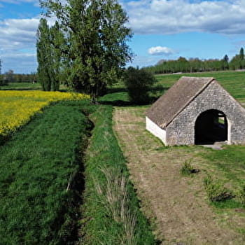 Un maïs au coeur d'artichaut - ALLERIOT