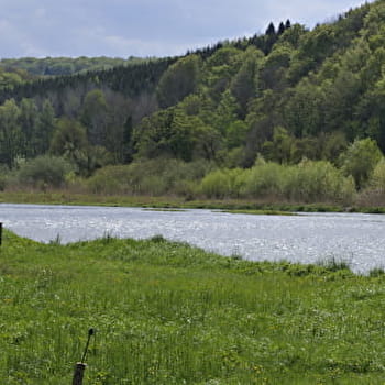 Le Méandre - MEDIERE