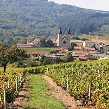 Les sentiers du Gaulois - VILLIE-MORGON