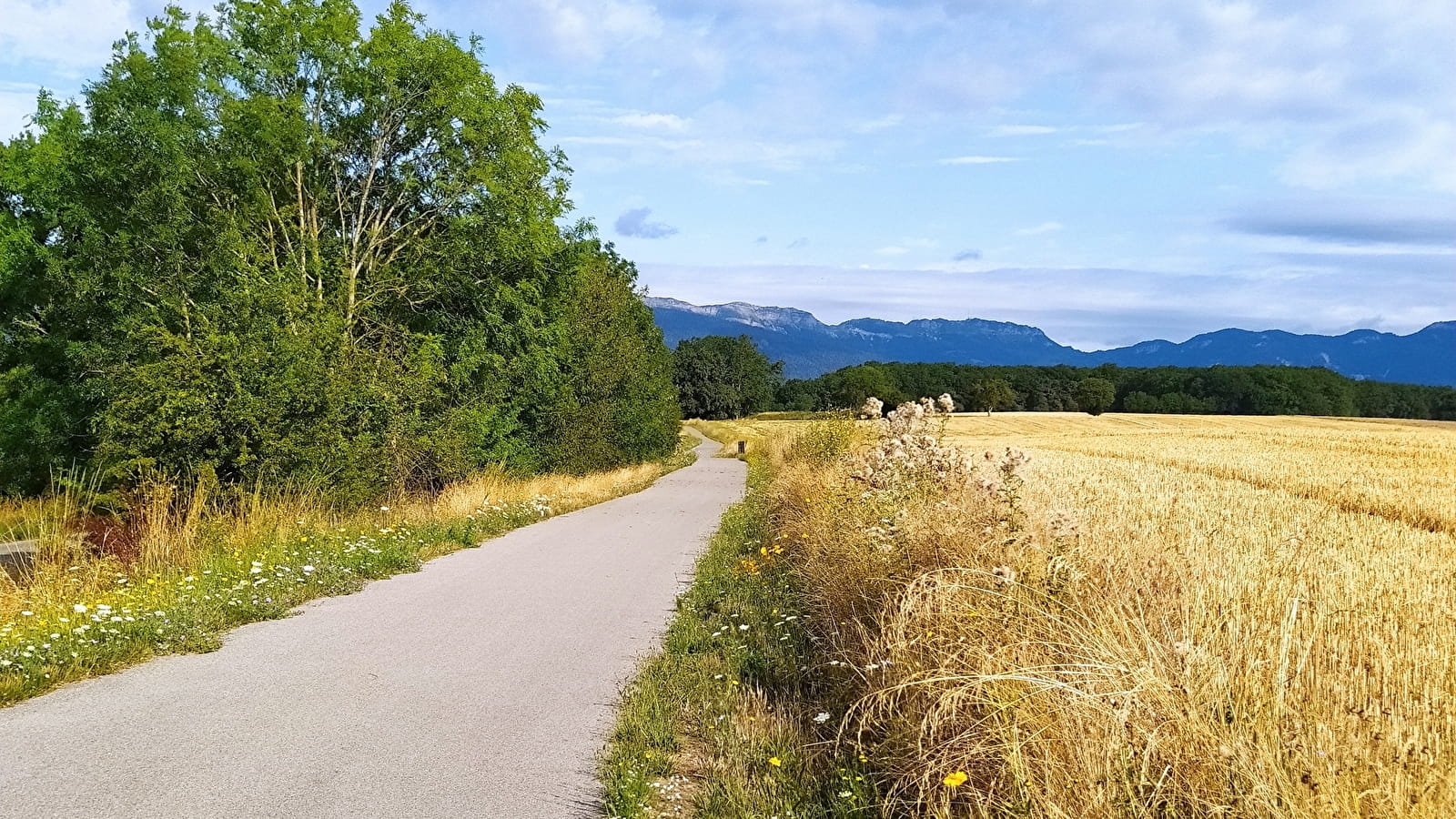 Voie Verte - La Ferney-Gex jusqu'à Ornex