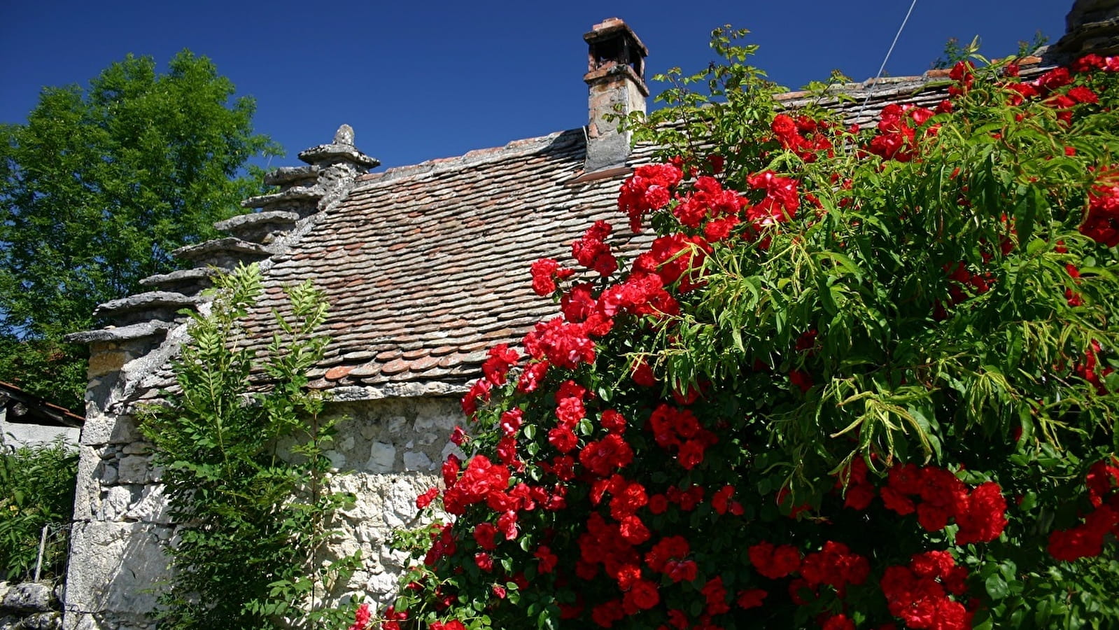 Circuit de randonnée pédestre : Tour de Nattages