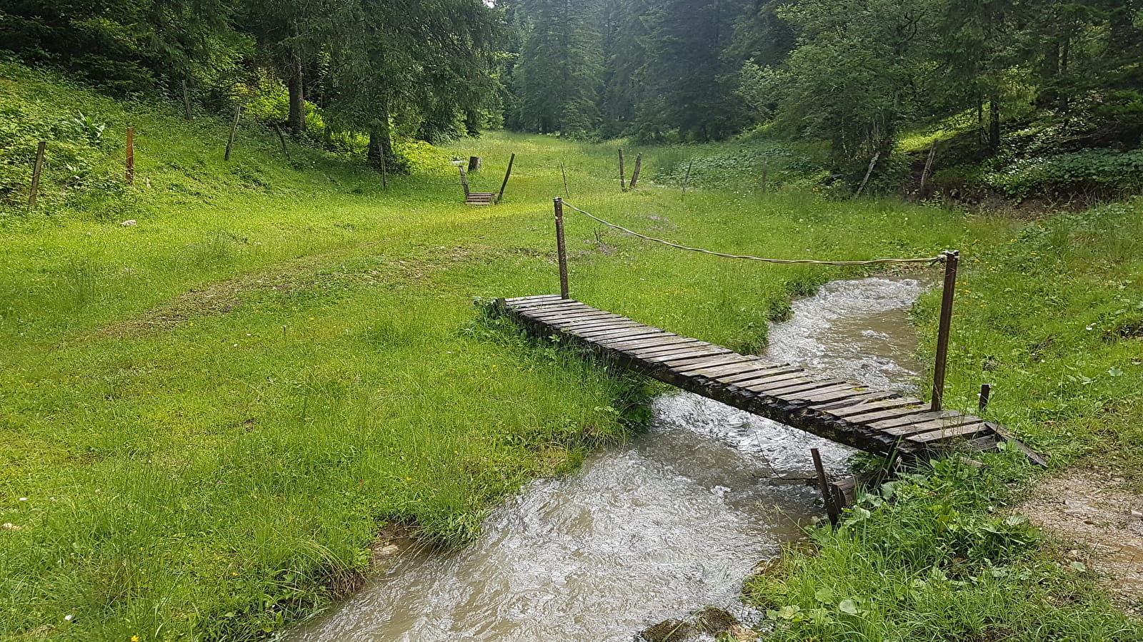 Crêtes franco-suisses - n°35