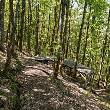 VTT XC Rouge - La Mig - AUTUN