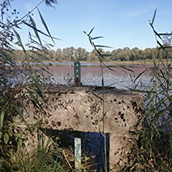 GR® de Pays - Beaujolais-Bugey par la Dombes - SAINT-BERNARD