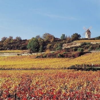 Circuit de Saint-Antoine par la voie romaine - CORMOT-VAUCHIGNON