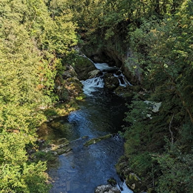 Parcours VTTAE 72 bleu - Des Gorges de l'Oignin aux Gorges de l'Ain - Espace FFC Ain Forestière