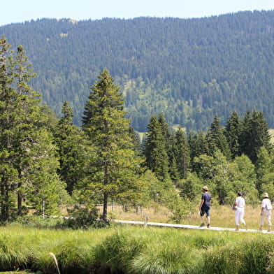 Sentier de la tourbière du lac des Rousses