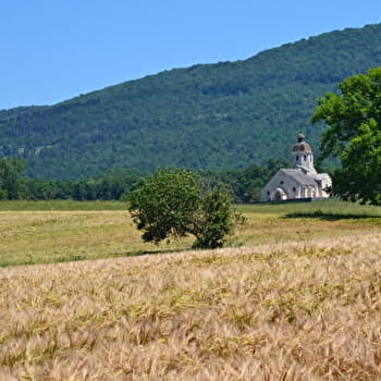 Entre églises et châteaux - ARINTHOD