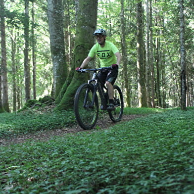 Parcours VTTAE 56 vert - Le Jorat - Espace FFC Ain Forestière