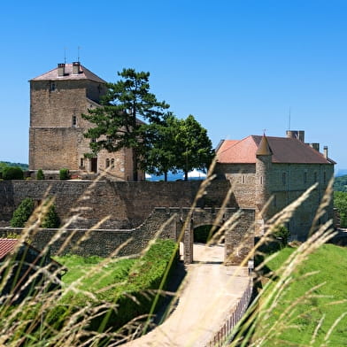 Boucle 26 : Reculées et châteaux du Sud-Revermont