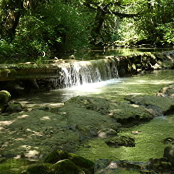 Sentier de balade : la Pernaz sauvage - SERRIERES-DE-BRIORD