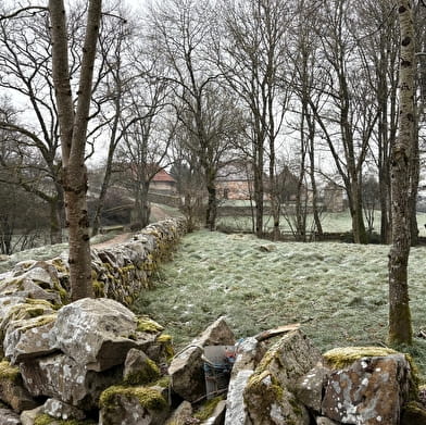 Balade Verte - Le grand Mornay (M2)