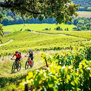 Le Gaillardon - 66R - VOITEUR