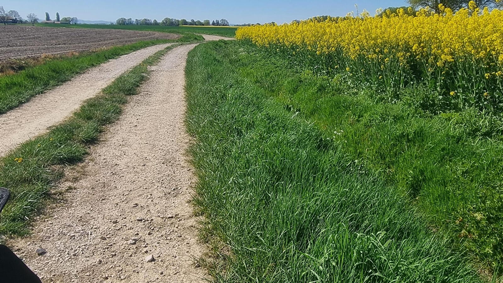 Circuit Gravel n°11 (bleu) - Prairie de Jayat - Chartreuse de Montmerle