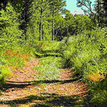  Les collines de Dracy - DRACY