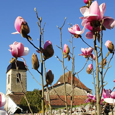 Balade - Verjon et Salavre, deux villages du Revermont