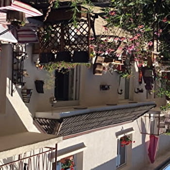 Meublés Les Oiseaux - Gelinotte - F1 - LUXEUIL-LES-BAINS