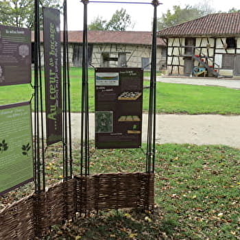 Sentier d’interprétation du Sougey - MONTREVEL-EN-BRESSE
