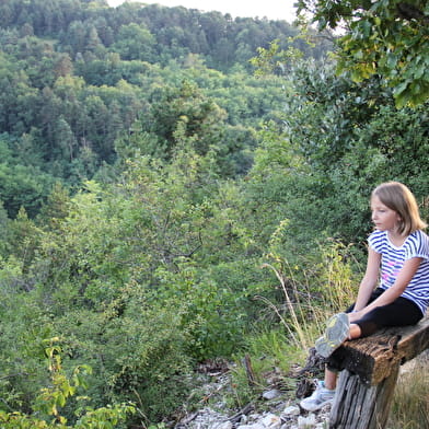 Balade - Tour de Montcel