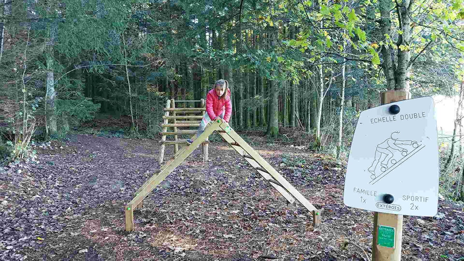 Sport & bien-être en forêt, parcours sportif