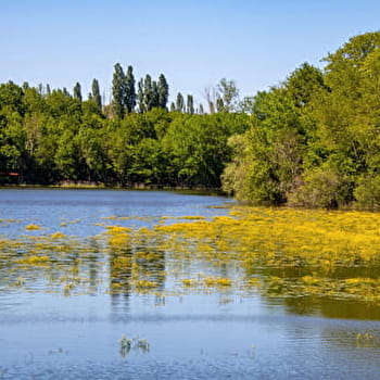 Circuit des trois étangs - MOUTIERS-EN-PUISAYE