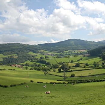 Circuit des croix - SAINT-BONNET-DES-BRUYERES