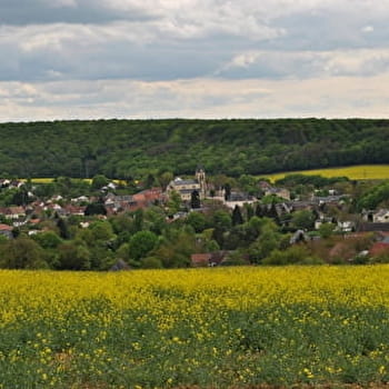 Le sentier des Orchidées - CHAULGNES