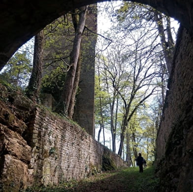 L’or jaune du Dieu de Coligny