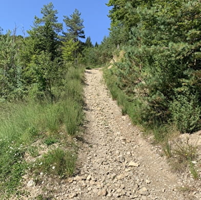 Randonnée - Vallon d'Apremont