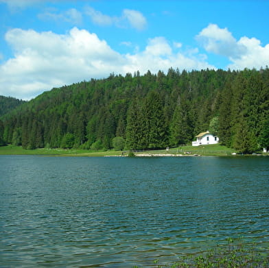 Parcours VTTAE 70 bleu - D'Oyonnax au lac Genin - Espace FFC Ain Forestière