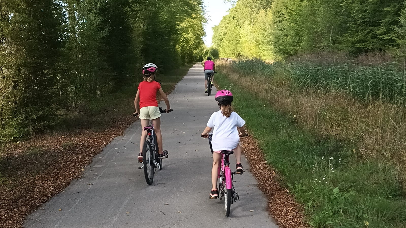 Voie verte : le chemin vert