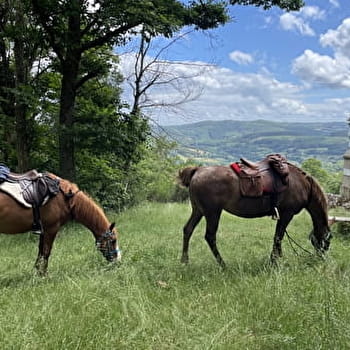 Randonnée équestre : Morvan magique - NORMIER