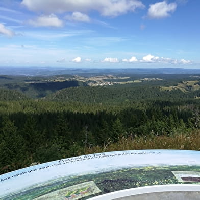 Les trésors cachés de la GTJ - Sur la route du Crêt de Chalam