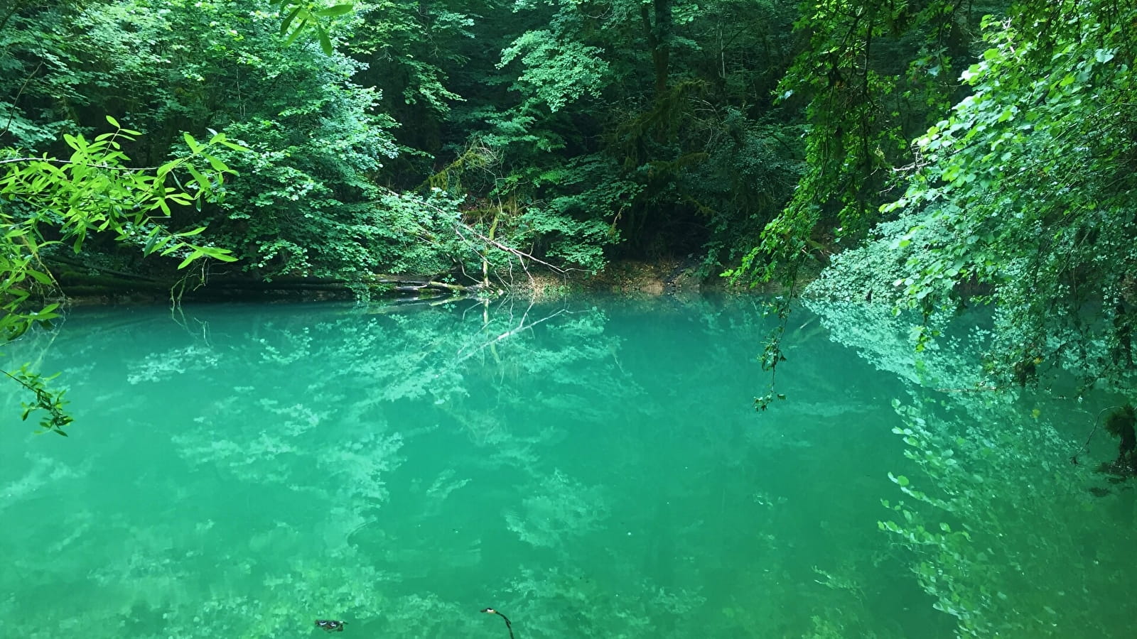 Circuit de randonnée pédestre : La vie du Loup