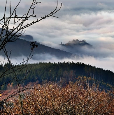 Vers les pâtures du sud Morvan