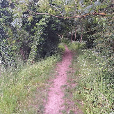 Circuit les Béragnons