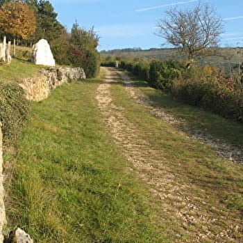 Sentier Mémoire de Pierre - COURMANGOUX