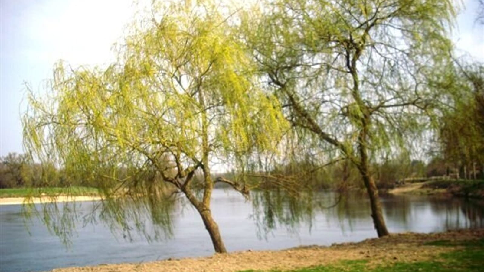 Sur le chemin de Saint-Jacques-de-Compostelle