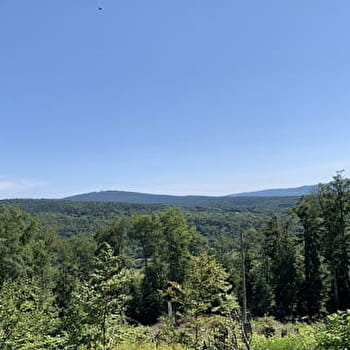 Randonnée - Forêt de la ravière et de Jailloux - PREMILLIEU