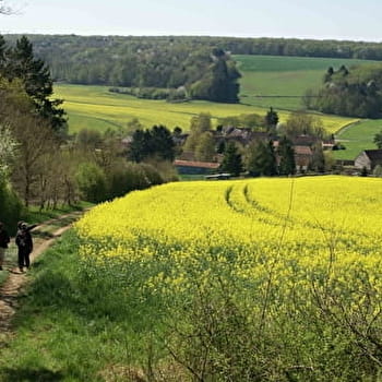 Circuit de Dixmont n°3 : Le Circuit des Puits - DIXMONT