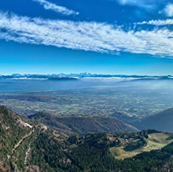 Randonnée pédestre : La Faucille - belvédère de la Redoute - MIJOUX