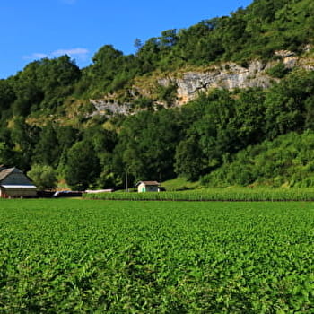 Circuit de randonnée pédestre : La Montagne de Saint-Benoit - GROSLEE-SAINT-BENOIT
