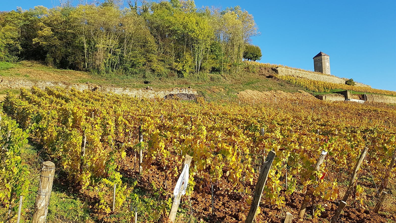 Circuit des Vignes - 10V