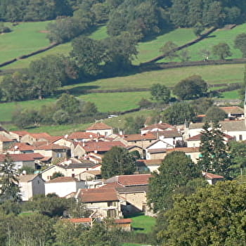 Balade des hauts de Brandon - BR1 - NAVOUR-SUR-GROSNE