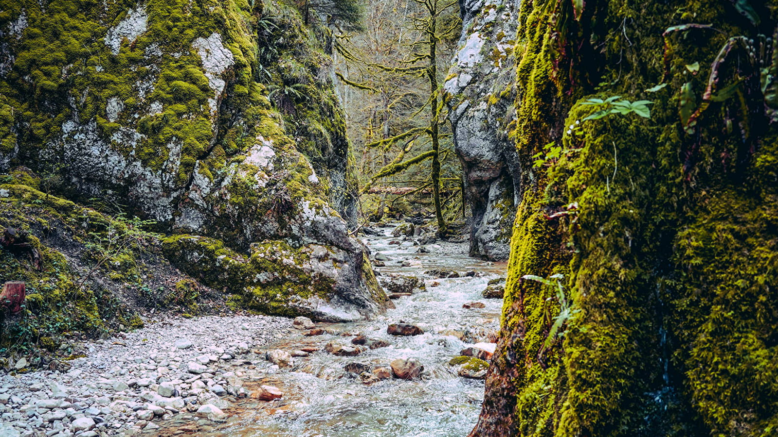 Randonnée pédestre : le Creux de l'Envers